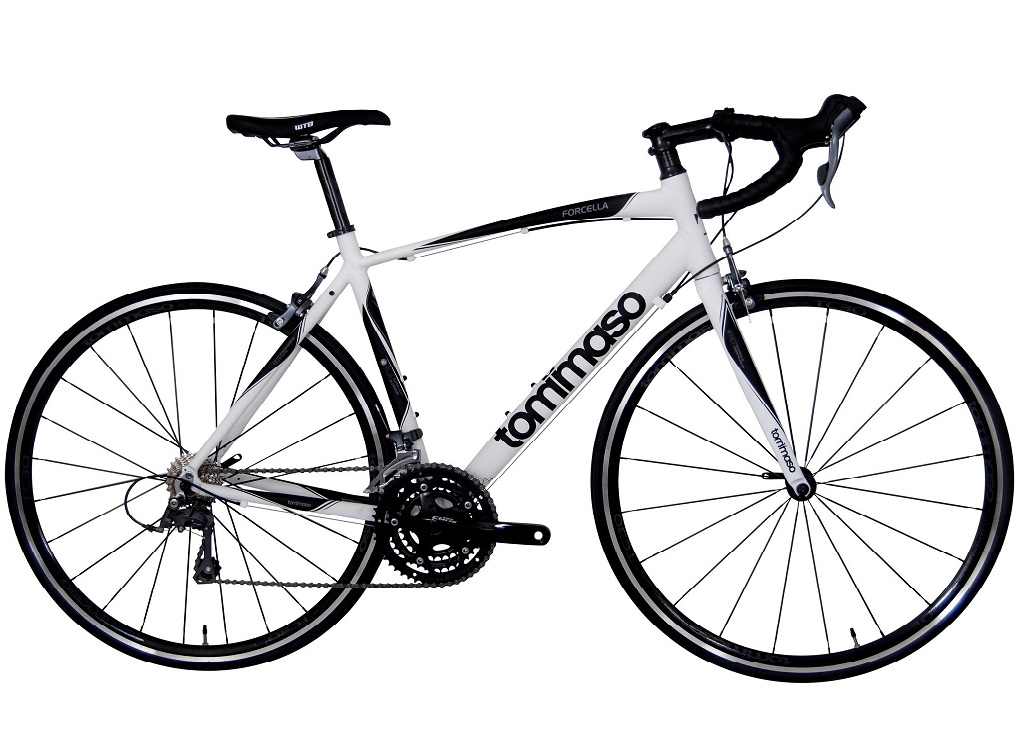 Best cheap beginner road bike